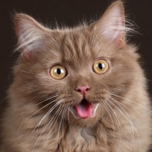 Jemy zdrowo i smacznie