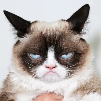 Jemy zdrowo na wsi i w mieście